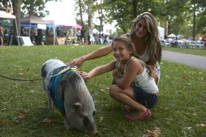 VegFest returns to Pittsburgh in August