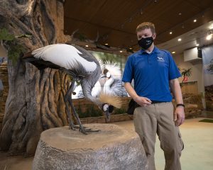 New ‘Journey to Africa’ program coming to National Aviary this summer
