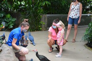National Aviary announces fall schedule with new offerings, safety protocols in place