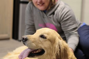 Cooper’s Cutz provides comfort, convenience for canines