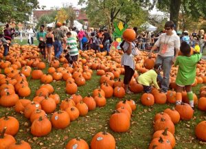 Pumpkinfest to commemorate 25th anniversary with time capsule