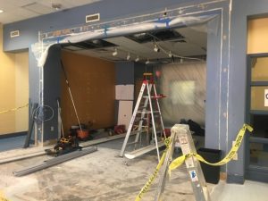 Humane Animal Rescue completing renovations this month