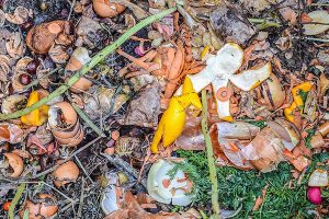 Composting can offset pandemic-related food waste